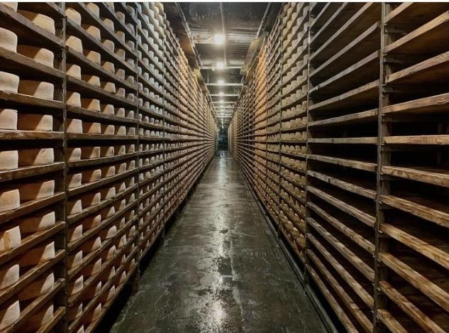 Fontina cheese aging in the cellar