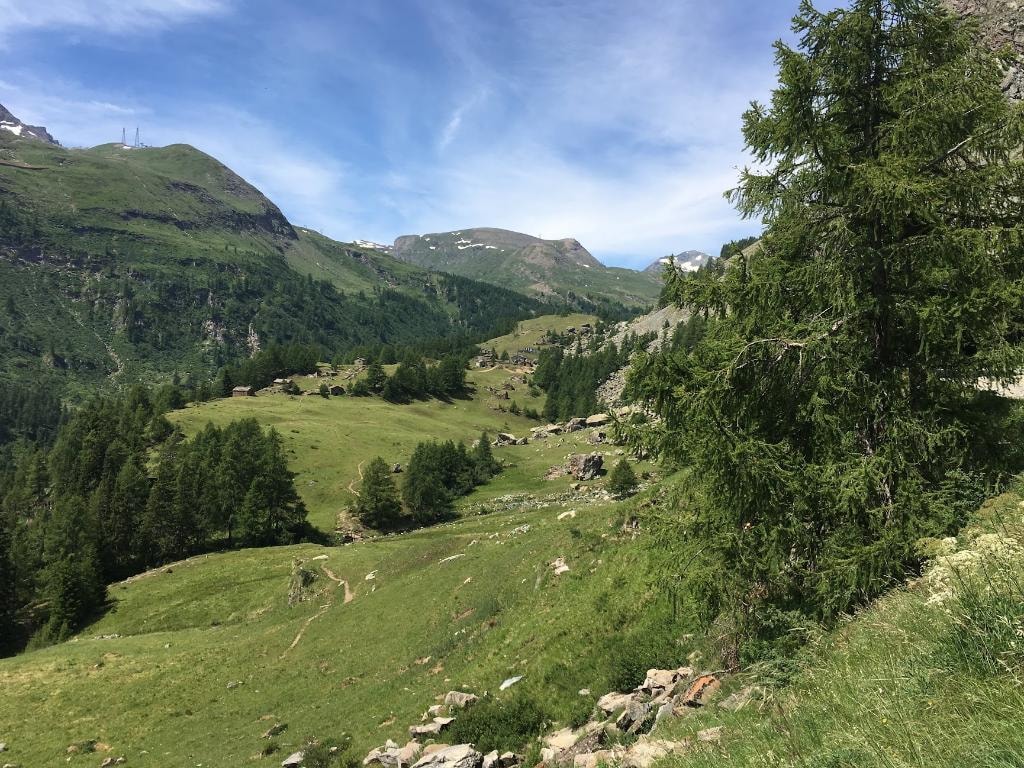 Alpine valley with forested slopes