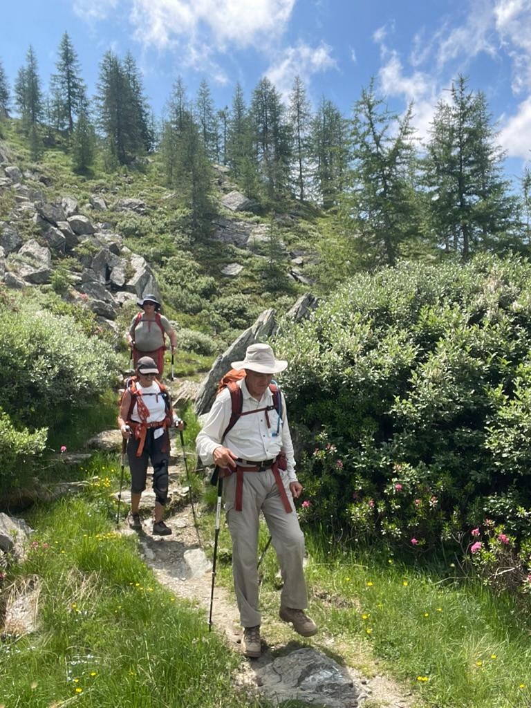 Forest trail section near Courmayeur